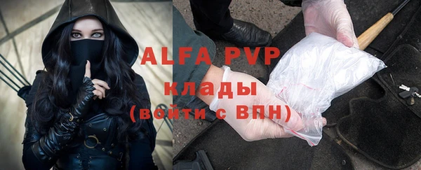 амф Арсеньев